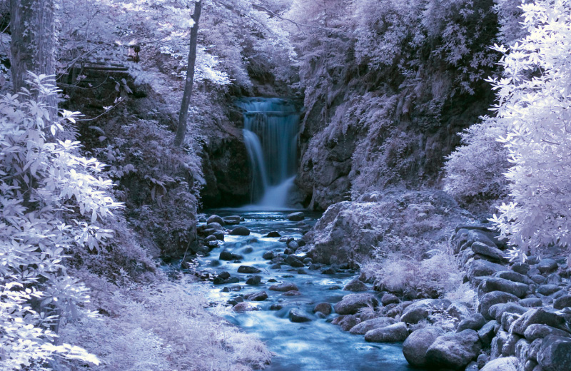 Bild009
