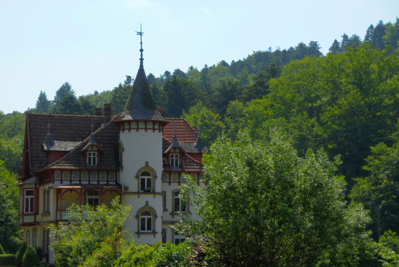 DSC011