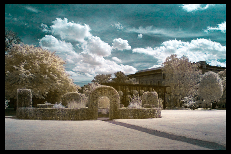 DSC_0117a