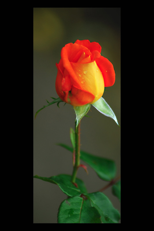 Bild002