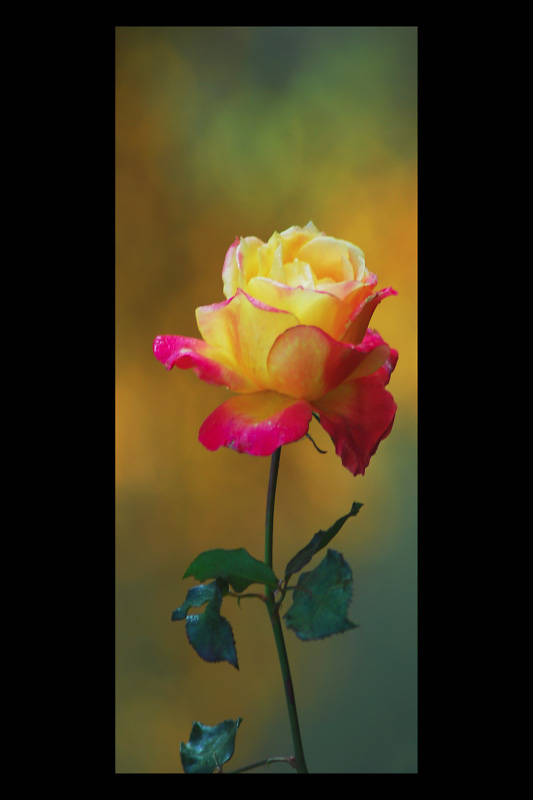 Bild005