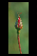 Bild001