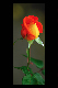 Bild002