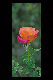 Bild004