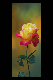 Bild005