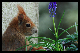 Bild006