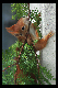 Bild007