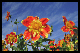 Bild009