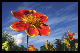 Bild010